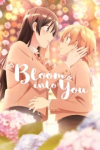 Yagate Kimi ni Naru Cover, Poster, Blu-ray,  Bild