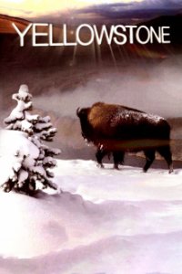 Cover Yellowstone Nationalpark, Poster