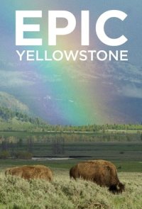 Cover Yellowstone – Park der Extreme, Poster